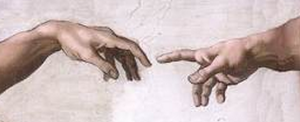 particolare
